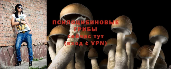 шишки Покровск